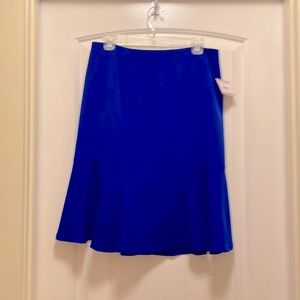 Blue Pencil Skirt